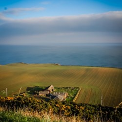 Coastal Farming